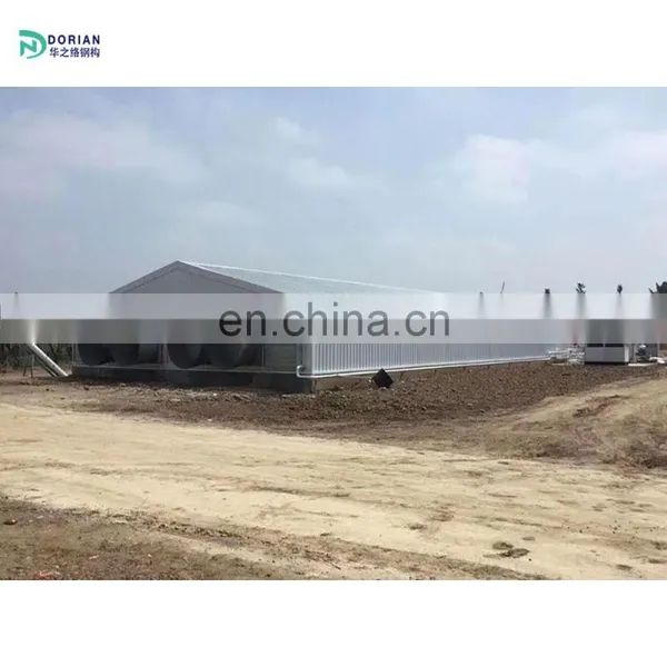 16000 Temporary Poultry Closed System House Shed Chickens House With Fans photo-5