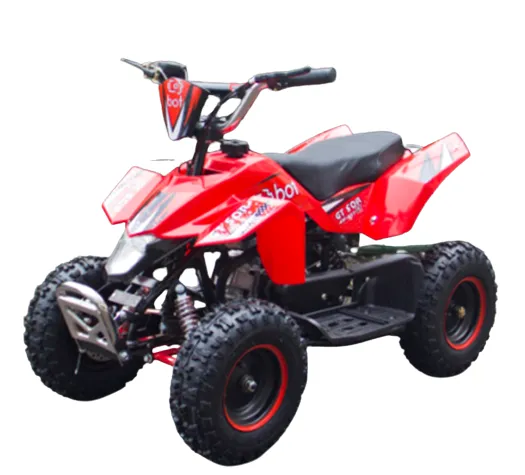 49CC 50CC Electric Start Quad Bike Kids Off-road Quad ATV 2stroke Motorcycle Outdoor Kids Ride-ons photo-2