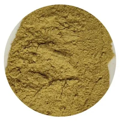 Olive Leaf Extract photo-2