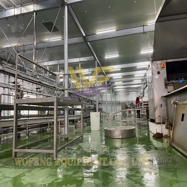 WFA Full Sheep Slaughtering Line Equipment Goat Abattoir Factory Machine Lamb Butcher Machinery Meat Mutton Production HACCP
