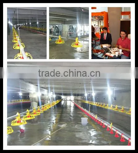 Chicken Automatic Feeder Direct Selling by Manufacturer photo-3