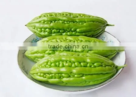 HOT PRODUCT FROZEN BITTER MELON HIGH QUALITY ANSD BEST PRICE photo-2