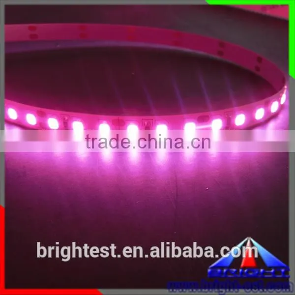 Pink LED Light 2835 Led Strip,2835 Smd Led Datasheet,2835 Strip Light photo-3