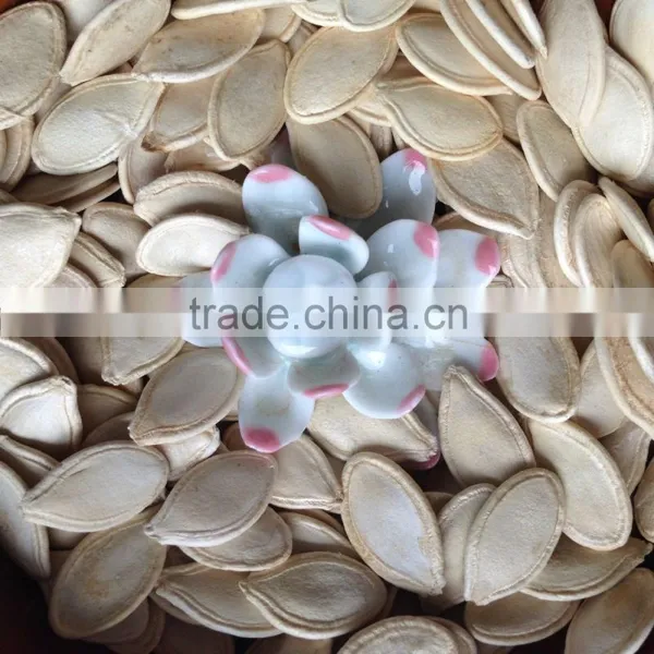 Low Price Shine Skin Pumpkin Seeds 2015 New Crops photo-2