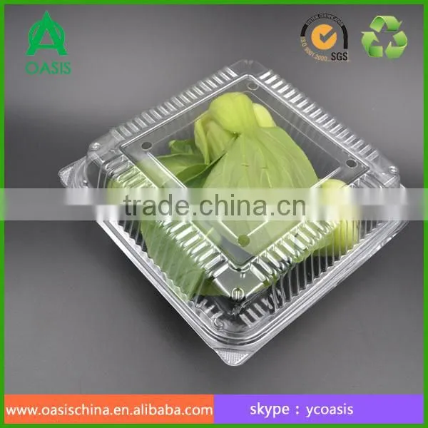 Clear Pet Hinged Lid Plastic Clamshell Container/punnet photo-4