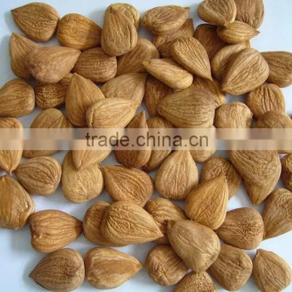 Supply Sweet Apricot Kernels With 8% Bitter photo-4