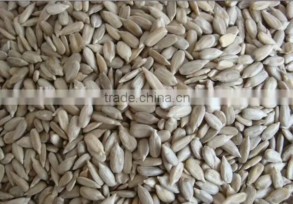 2015 2016 Roasted Salted Snack Chinese Sunflower Seed Kernel Small Packing 5009/3638/0409/363 photo-4