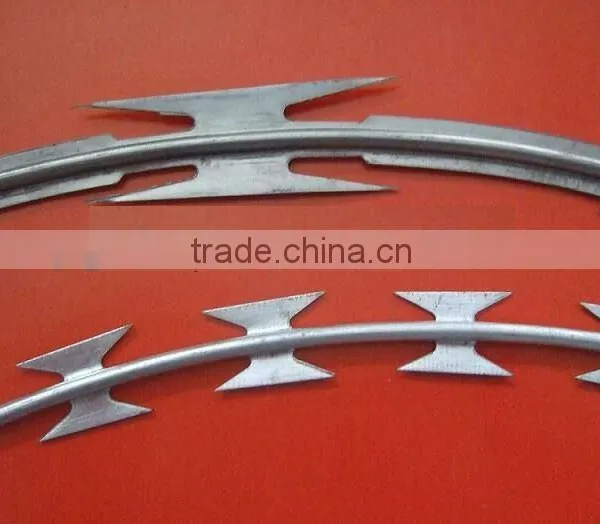 Stainless Steel Razor Wire