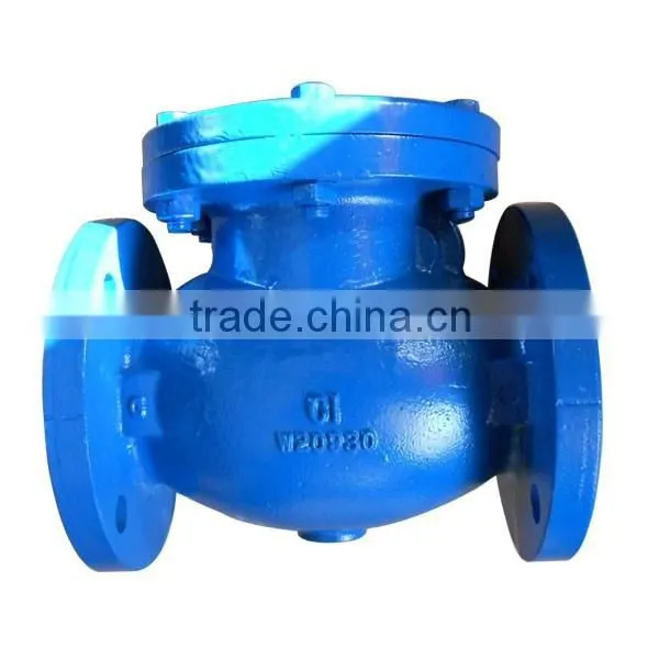 PN16 DN150 Cast Iron Swing Check Valve photo-2