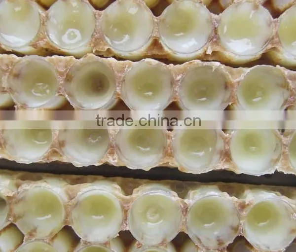 ISO Factory Supply Best Royal Jelly photo-6