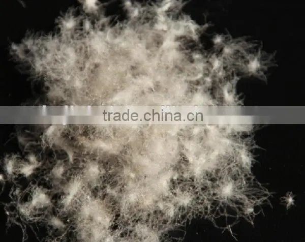 2-4CM Grey Duck Feather Washed Feather IDFL Standard Filling Material photo-3