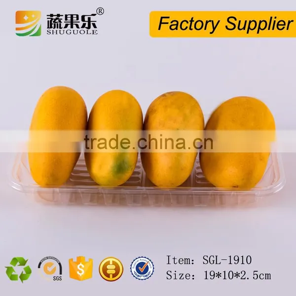 Custom Disposable PET Plastic Biscuit Packaging Tray photo-2
