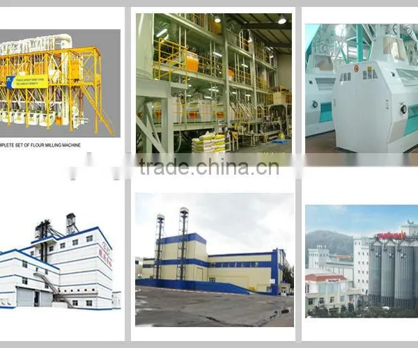 12-15TPD Full Automatic Wheat Flour Milling Machine
