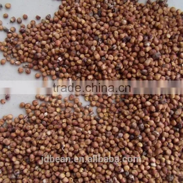 Price Of Red Sorghum photo-2