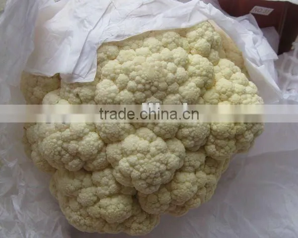 Chinese Fresh Cauliflower photo-3