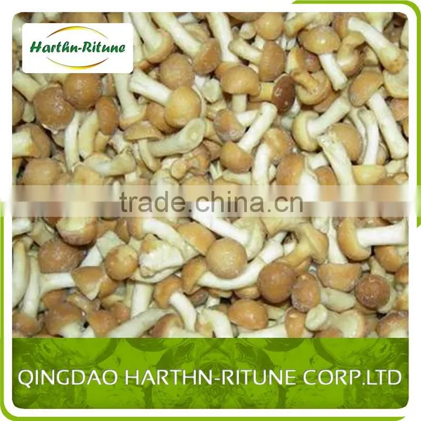 Bulk Frozen Nameko Mushroom Nameko photo-4