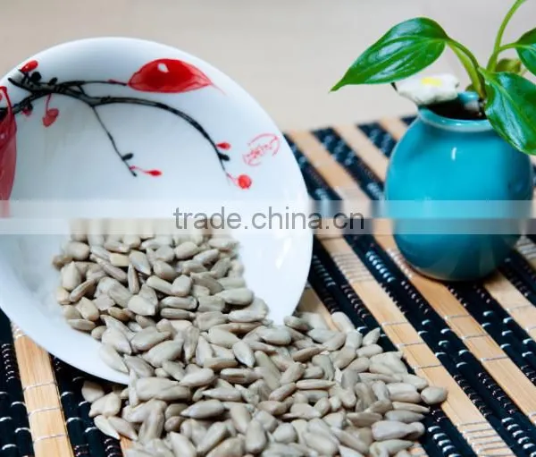 Sunflower Kernel for Confection and Bakery photo-2