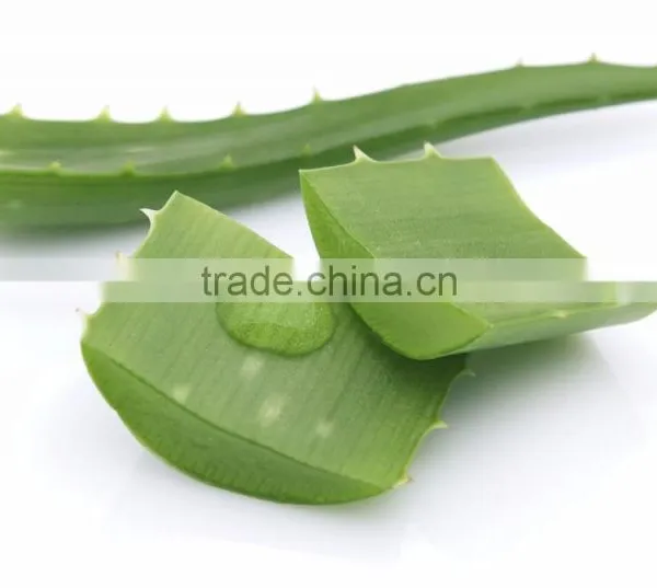 Beauty Products Aloe Vera Gel. photo-3