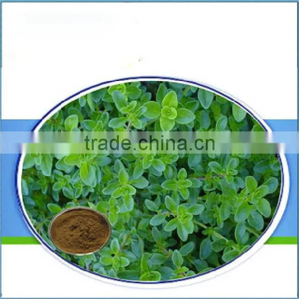 Natural Thymol Supplier for Subgingival Tooth Treatment With Factory Price