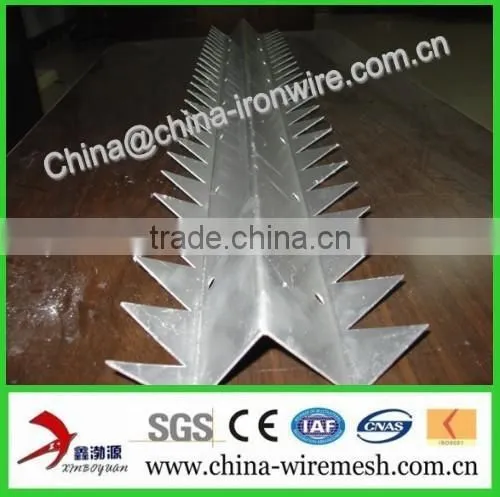 Galvanized Steel Wall Spikes / Anti-climb Spikes/ Security Spikes (factory ) photo-5