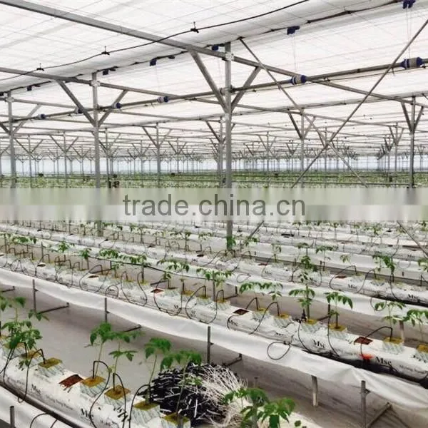 Agricultural Greenhouses Type Commercial Hydroponics Greenhouse photo-2