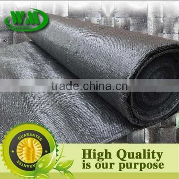 Black Plastic Ground Cover Mesh photo-6