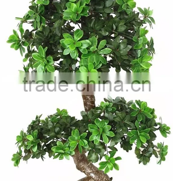 China Hot Sale Evergreen Fake Money Tree ,artificial Pachira photo-3