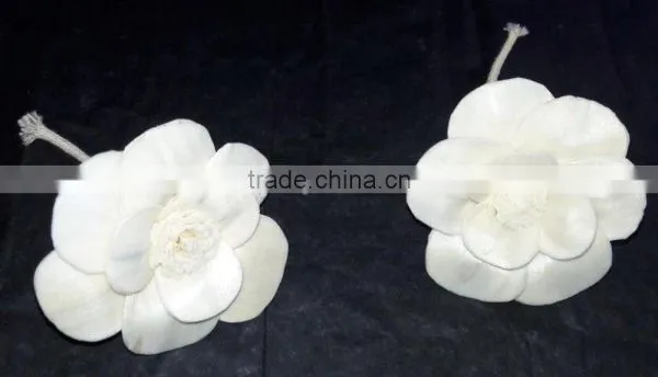 7019-7024 Sola Flower for Diffuser photo-6