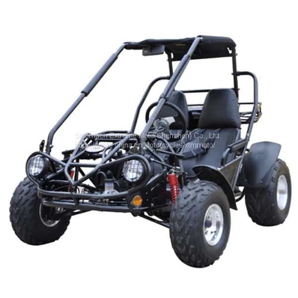 Kids Gas/disel Transmission Chinese Side by Side Utv 150cc photo-3