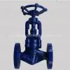 API ANSI Globe Valve