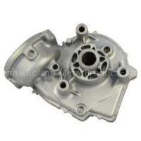 Aluminum Die Casting for Motor Housing/Shell