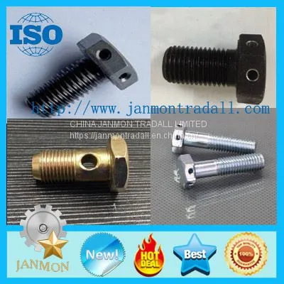 Special Hexagon Bolt With Holes,Bolt With Hole, Bolts With Hole in Head ,Hex Head Bolts With Holes,Hex Bolts With Holes on Head,High Tensile Bolts With Holes,Steel Bolt With Hole, Stainless Steel Hex Head Bolt With Hole,Grade 8.8 Hex Bolts photo-2