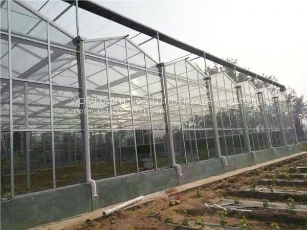 Glass Greenhouse 9.6m/10.8m Multispan Glass Greenhouse photo-4