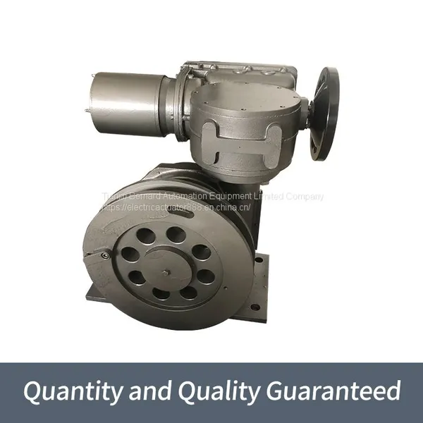 Bernard Induced Draft Fan ActuatorsSKD - 120/FYT Multi-turn Electric Actuators photo-3