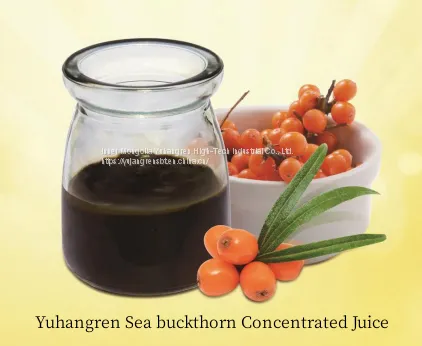 Sea Buckthorn Puree photo-4