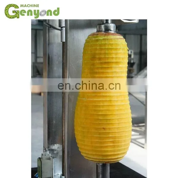 GYC Pumpkin Peeler Peeling Machine photo-3