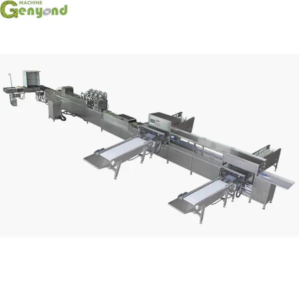 Shanghai Factory Eggs Washing and Dry Machine Egg Shape Wash Basin Zenyer Egg Wash Machine photo-2