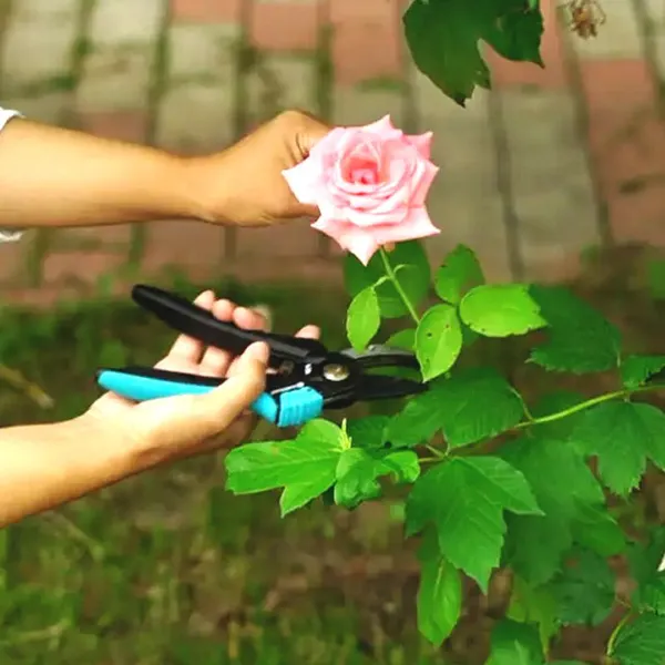 Professional Garden Pruning Shears With Sharp Steel Blade for Tree Branch Cutting and Farm Use photo-4