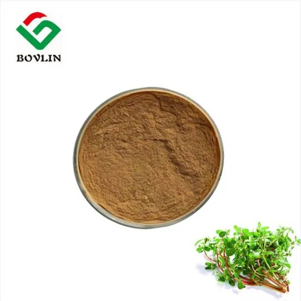 Organic Purslane Extract