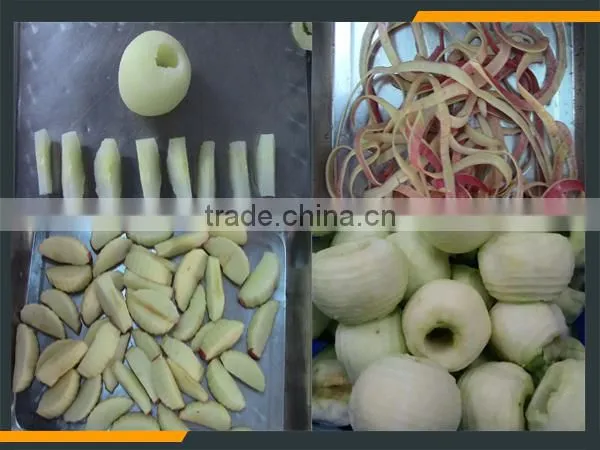 Leader Medium-sized Fruit Skin Removing Machine for Kiwi ,avocado, Apple Supplier's Choice photo-5