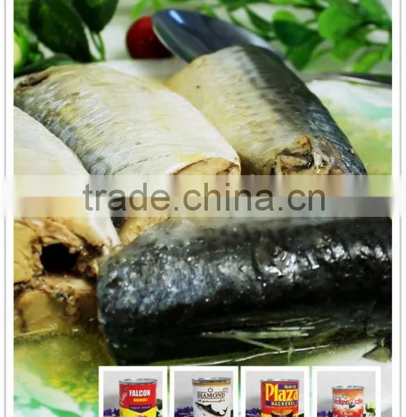 Canned Mackerel in Oil photo-6