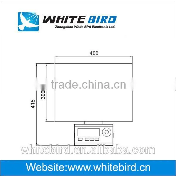 150kg Electronic Digital Industrial Platform Weighing Scale photo-3