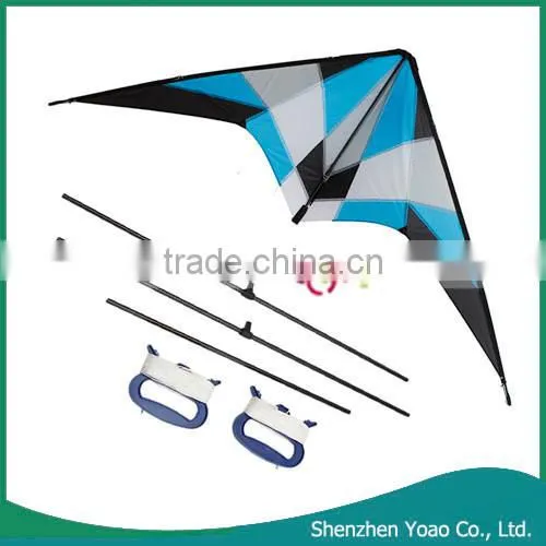 Promotional 1.8m Small Storm Stunt Dual Line Large Kites for Sale
