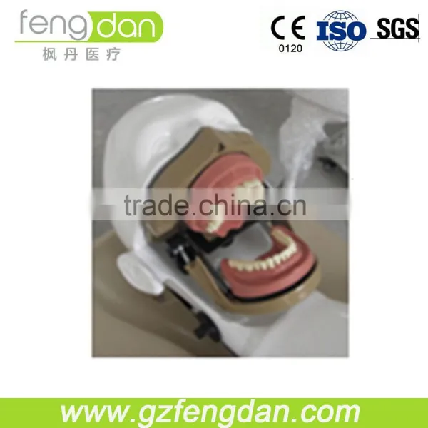 Dental Supply High Quality a Advanced Dental Manikin photo-5