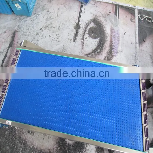 Blue PP Grade for Food Belt Conveyor by Customized photo-5