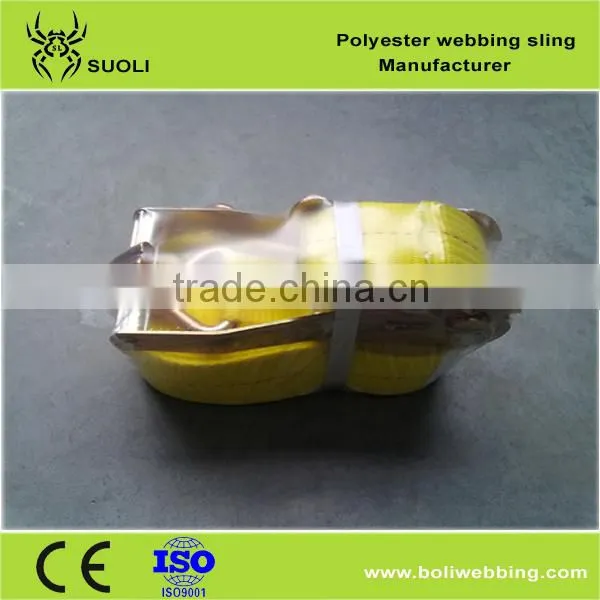 Polyester Webbing Sling (lifting Sling) Safety Factor 5:1 photo-5