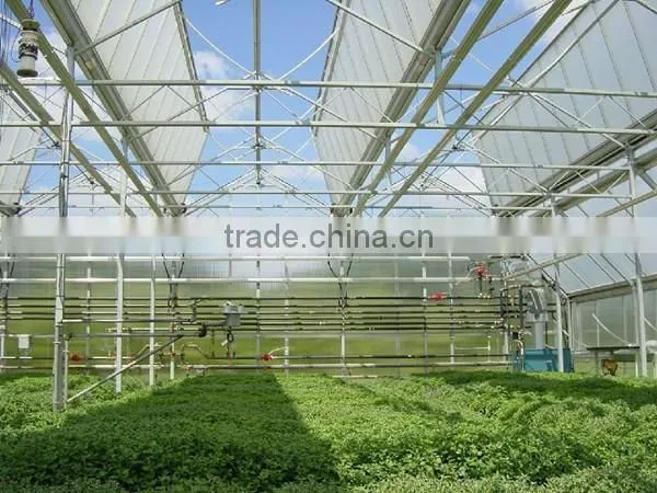 Transparent Plastic Roofing Sheet for Green House