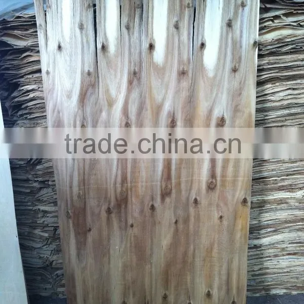 Core Veneer Acacia or Eucalyptus, 1.5-1.7mm Thickness Vietnamese Product for Making Plywood or Other Using photo-3