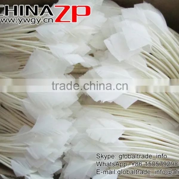 CHINAZP Plumage Leading Factory Exporting Handwork Trimed Arrow Shaped White Turkey Rounds Quill Feathers for Decorations photo-5