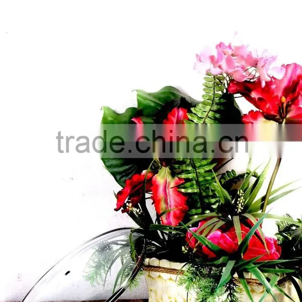 Tempered Glass Lid photo-3